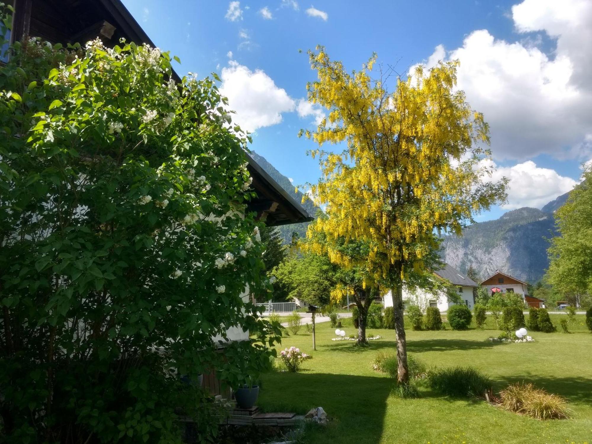 Apartmán Haus Alpenblick Obertraun