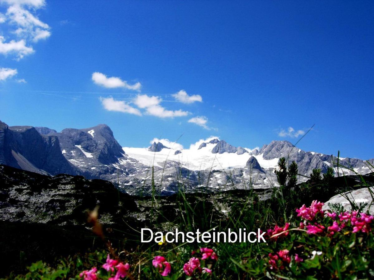 Appartement Haus Alpenblick *