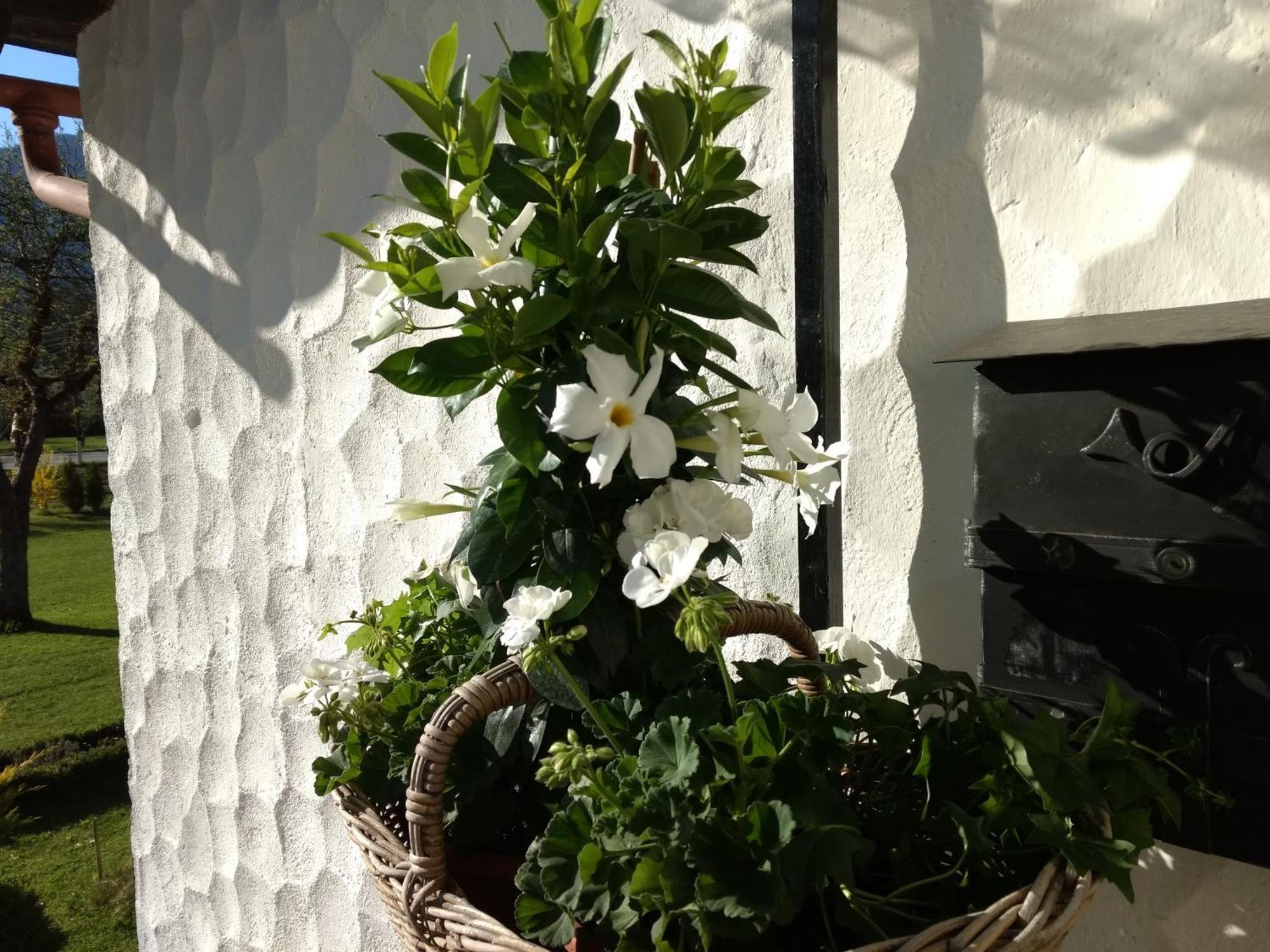 Haus Alpenblick Appartement *