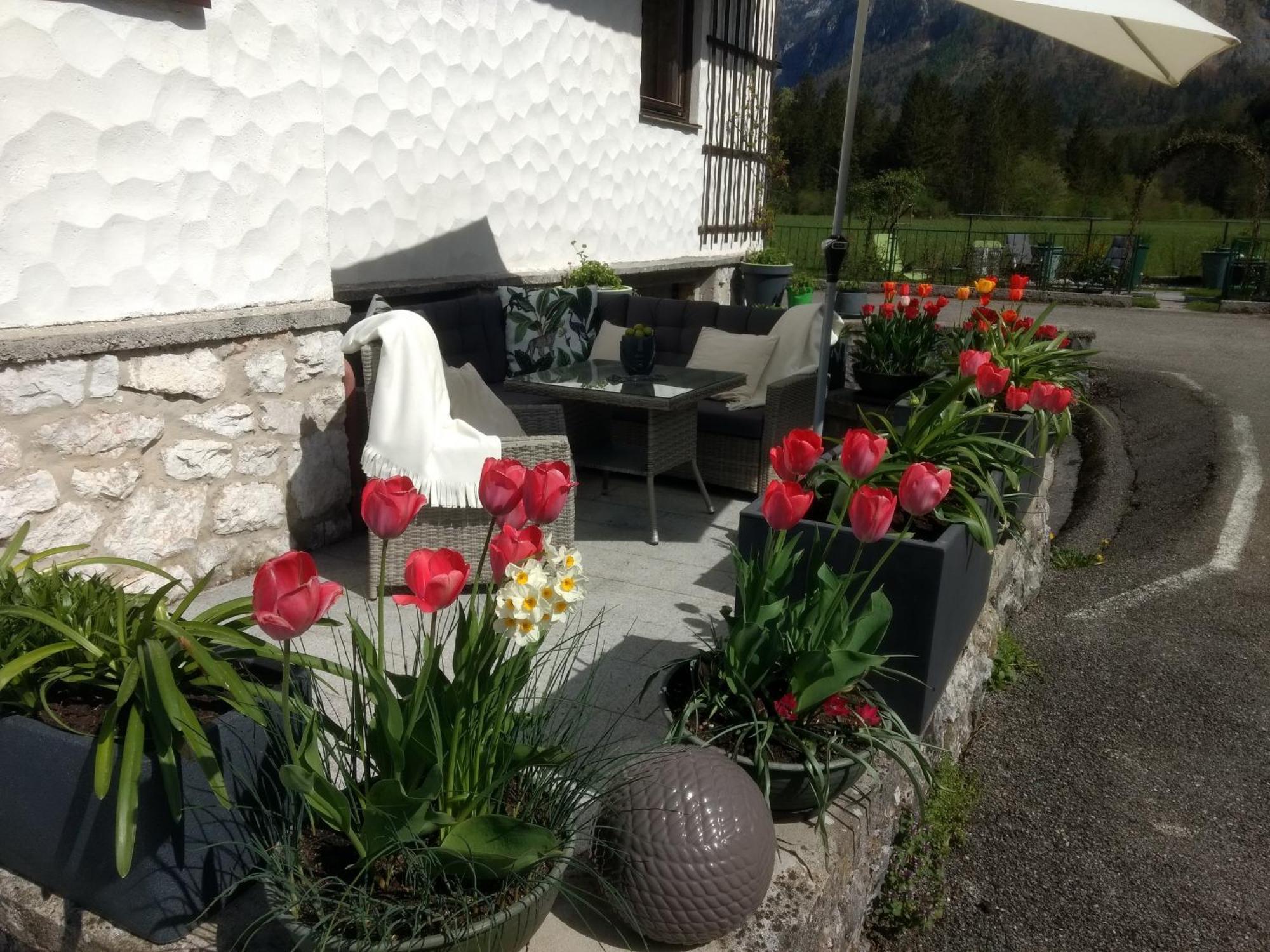 Appartement Haus Alpenblick