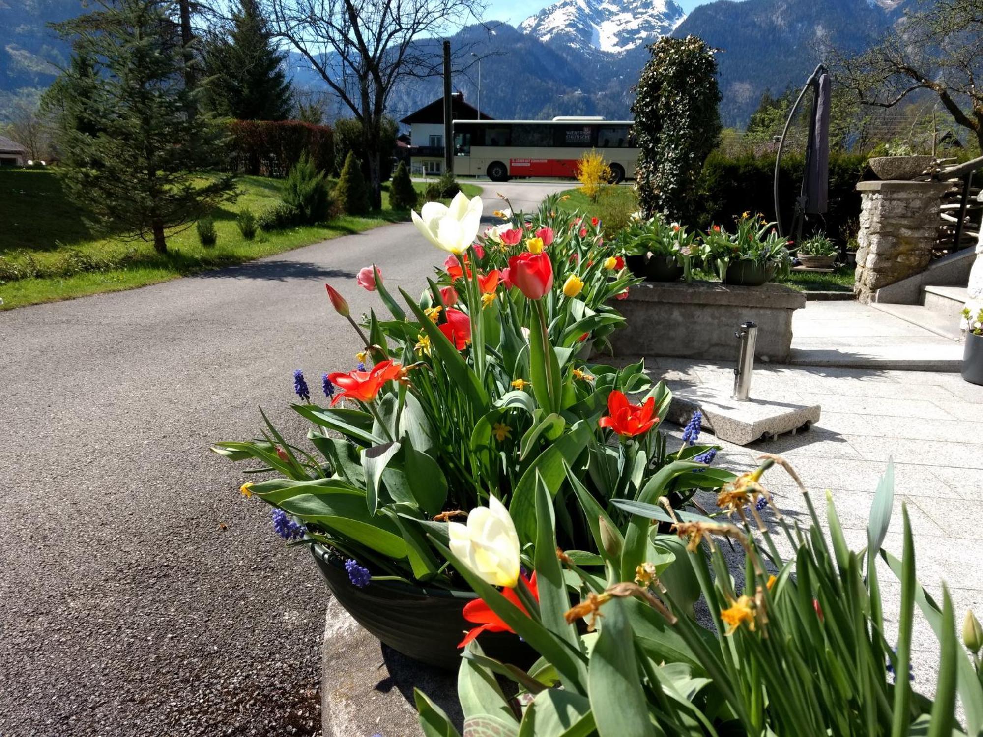 Haus Alpenblick Appartement Obertraun