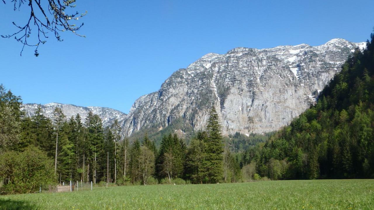 Appartement Haus Alpenblick